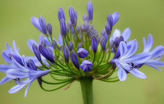 每周精选：优秀的照片和艺术作品(二)