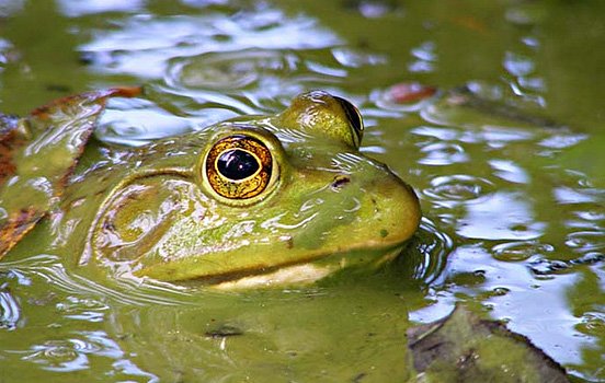 每周精选：优秀的照片和艺术作品(二)