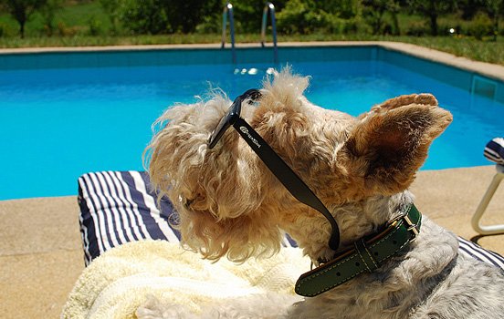 每周精选：优秀的照片和艺术作品(二)