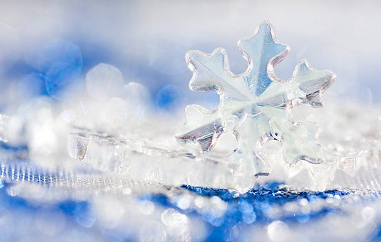 每周精选：优秀的照片和艺术作品(二)