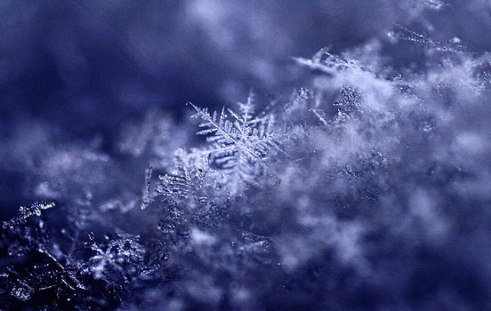 每周精选：优秀的照片和艺术作品(二)