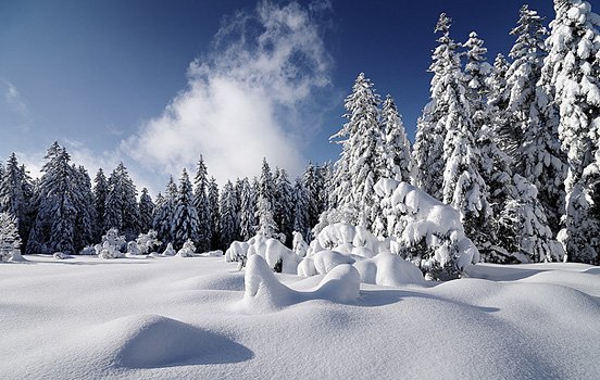 每周精选：优秀的照片和艺术作品(二)