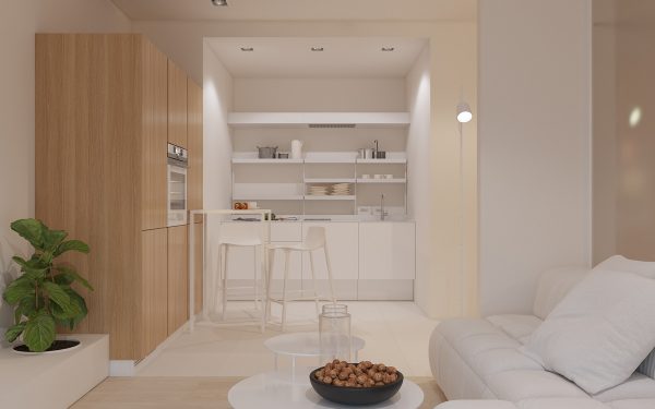 3个简洁自然的一居室公寓设计