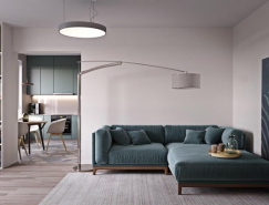 2个紧凑简约的60平米小公寓设计