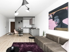 立陶宛极简风格的小公寓设计