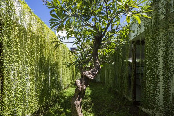 越南头顿绿意环绕的生态住宅设计