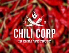 27款辣椒logo设计欣赏