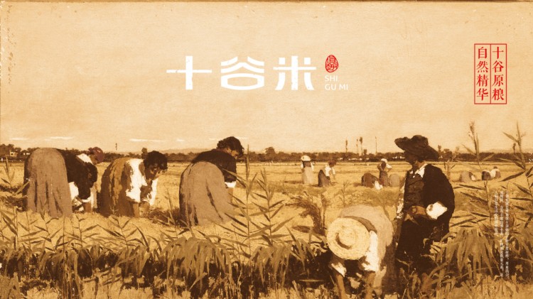 十谷米包装设计