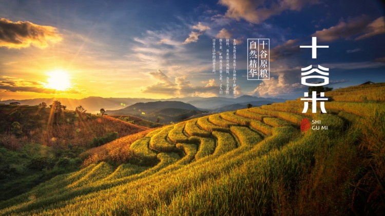 十谷米包装设计
