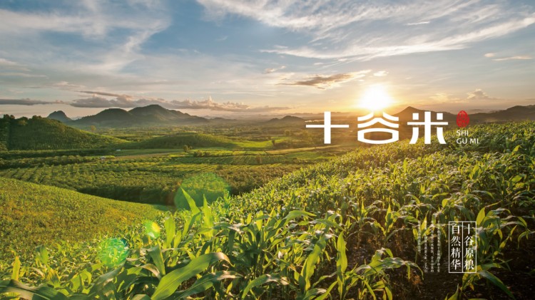 十谷米包装设计