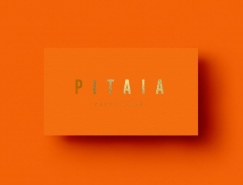 仙人掌和花盆销售商:Pitaia品牌VI设计