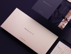 波兰室内设计公司Max-Fliz品牌形象设计