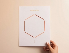 美容和健康中心MD Aesthetica品牌形象设计